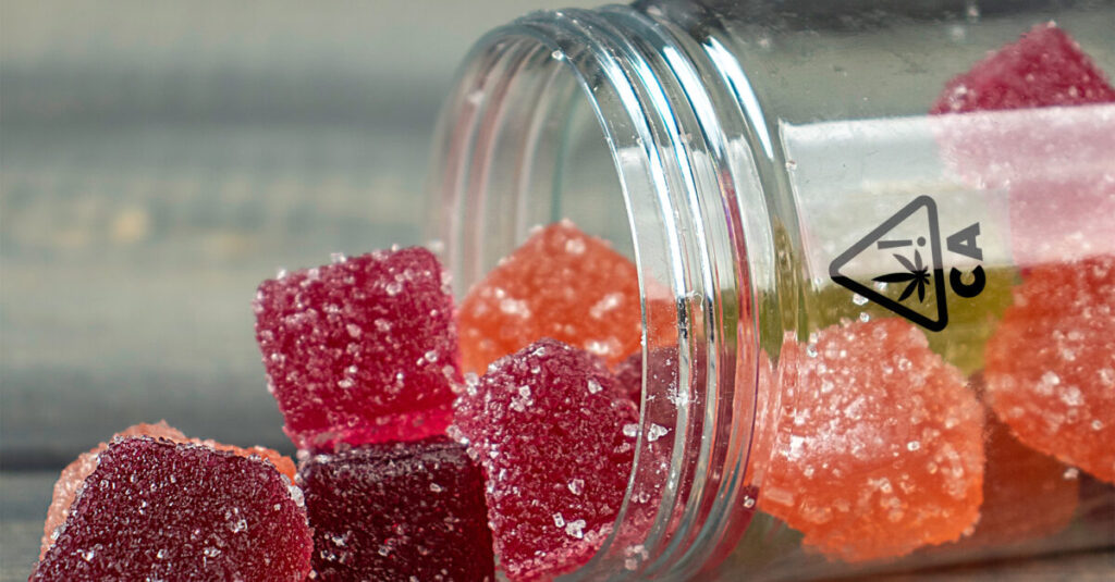 CBD Gummies and Daily Wellness