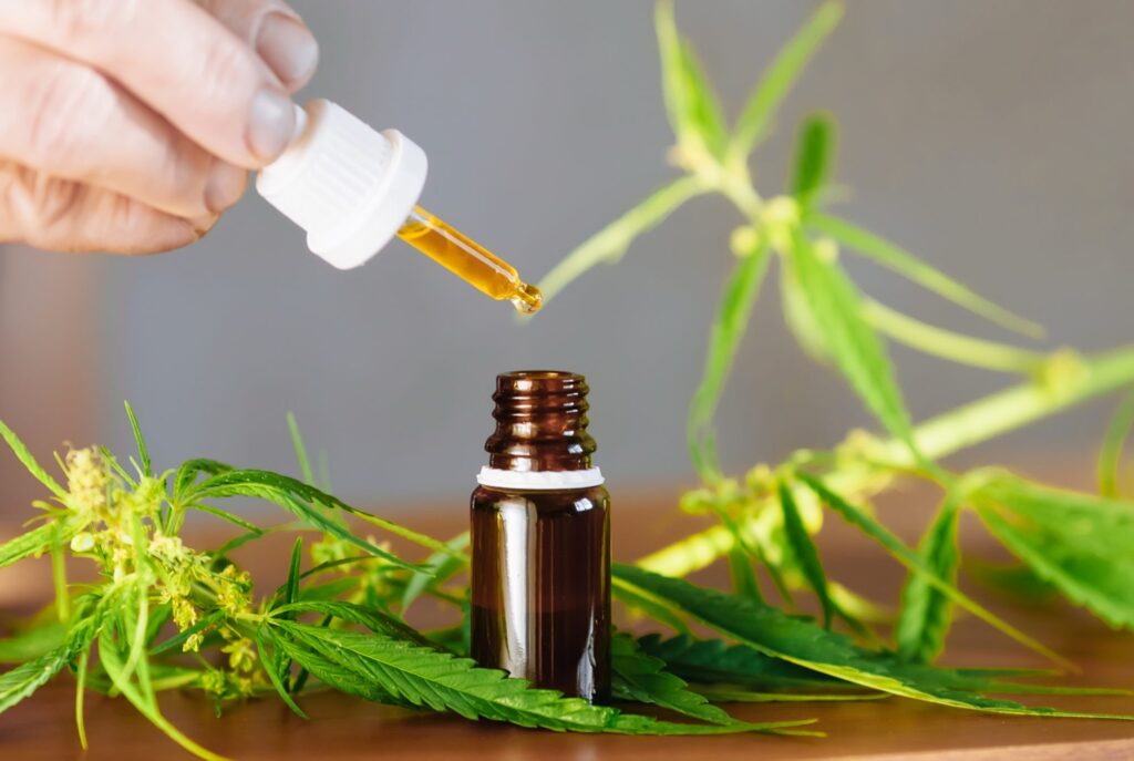 Full-Spectrum vs Isolate CBD Gummies: What’s the Difference?