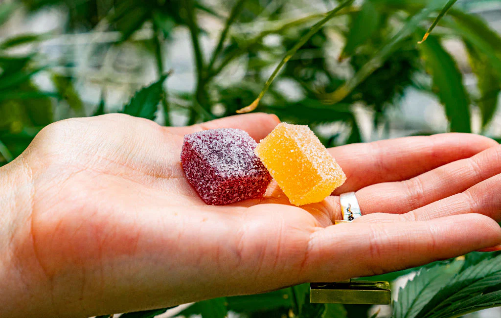 CBD Gummies for maximum effect